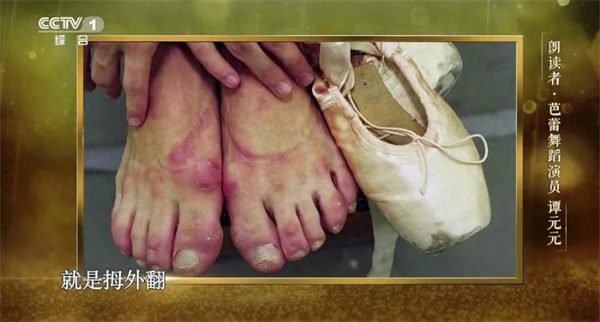 谭元元个人资料简介(谭元元人生经历)-