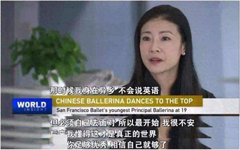 谭元元个人资料简介(谭元元人生经历)-