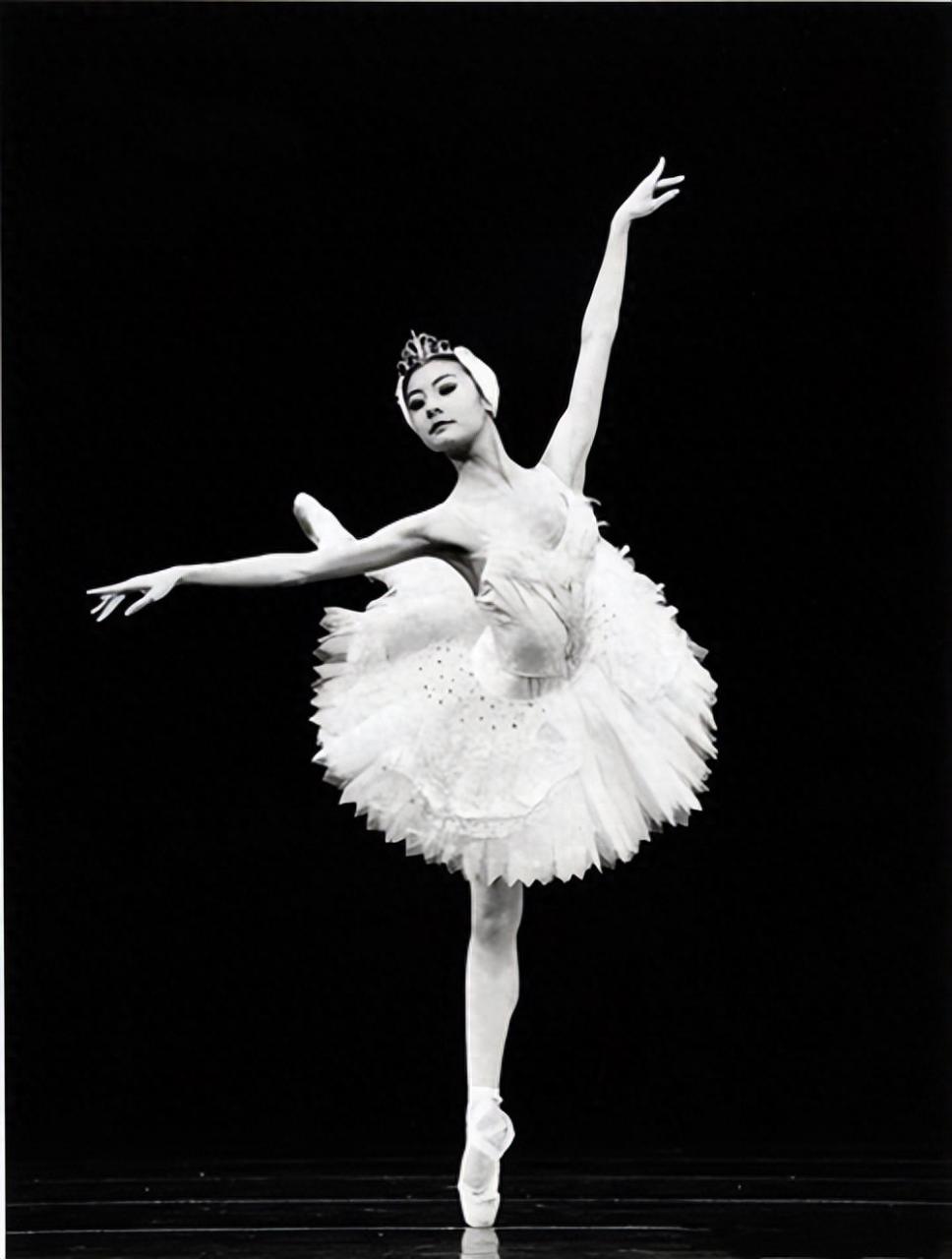 谭元元个人资料简介(谭元元人生经历)-