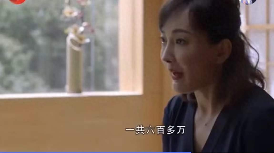 精英律师剧情介绍（精英律师故事梗概）-