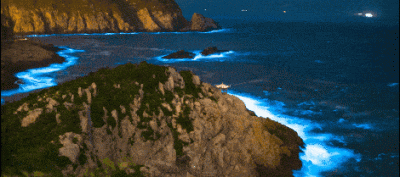 蓝眼泪是什么原因造成的(罕见!爆发级”蓝眼泪”刷屏!”蓝眼泪”到底是啥 究