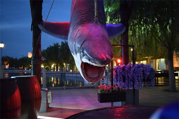 出发,青岛方特梦幻王国夜场