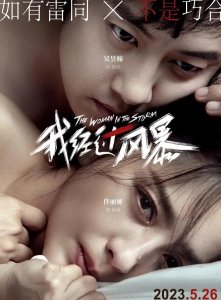 电影我经过风暴什么时候上映?(佟丽娅新电影即将上映,目前已定档)