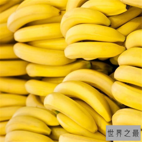 世界上十大最甜水果，哪些水果又甜又好吃？