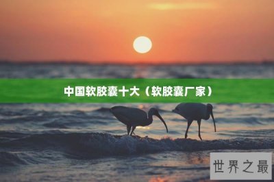 ​中国软胶囊十大（软胶囊厂家）