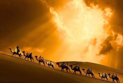 看了无数遍的《骆驼客》,我总结了这3条非常重要的人生哲理