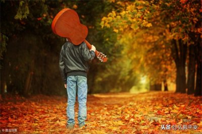 但愿人长久的意思是什么?