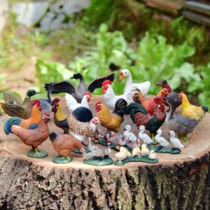 禽类有哪些动物(成语中表示禽类动物的字有哪些,你知道吗?)