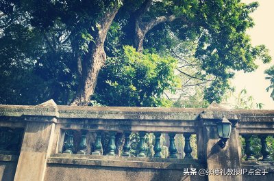 就业形势好的专业(大学里最吃香,最实用的4个专业,就业前景好,毕业后前途