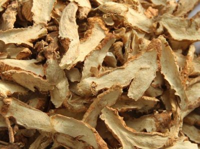 知母的功效与作用(滋阴清热 清热泻火)