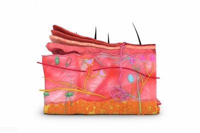 面霜什么时候用最好(面霜应该如何用?换季面霜详细使用报告)