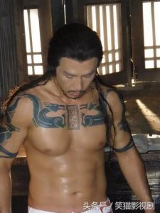 甄子丹演的所有的电影(甄子丹的40部作品)