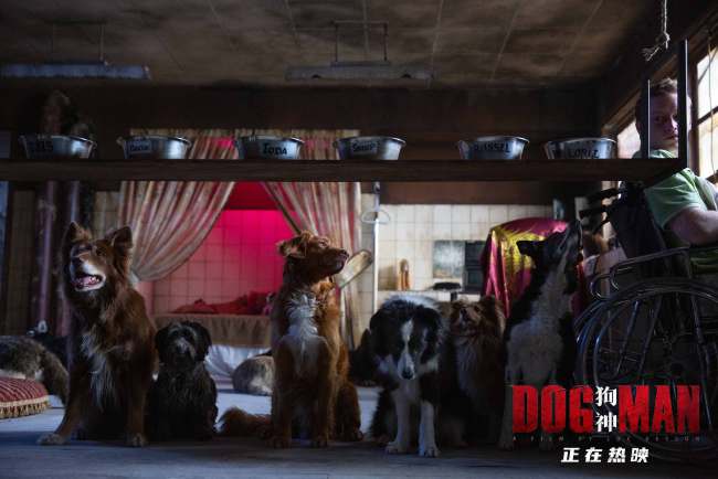 《狗神》“最佳拍档”片段 人狗配合全凭眼神沟通