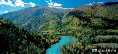 什么是天丝面料 ?今天一次把它说清楚