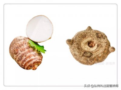 蒟蒻是什么东西(它就是蒟蒻)