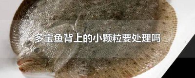 多宝鱼的背有一粒粒的 多宝鱼背部的疙瘩用去掉吗