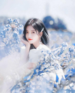 ​杨超越锦鲤(杨超越锦鲤的由来)