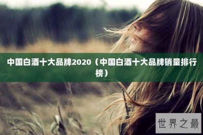 ​中国白酒十大品牌2020（中国白酒十大品牌销量排行榜）