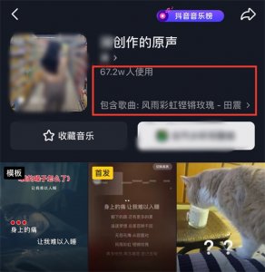 ​田震为什么退出娱乐圈(得罪那英又被孙楠痛批，被逼退圈的天后田震)