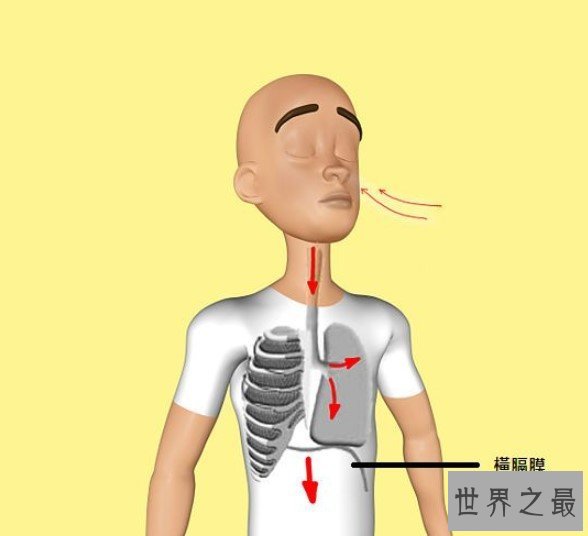 世界上肺活量最大的人,42分钟内吹出一个直径2.44米的大气球