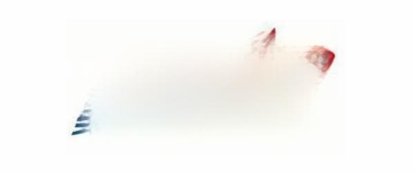 美国轮胎品牌有几种?美国轮胎排行榜前十名-