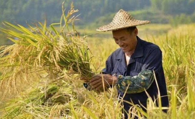 自编吉利车牌号码大全2022,4位车牌号码吉利数字排行-