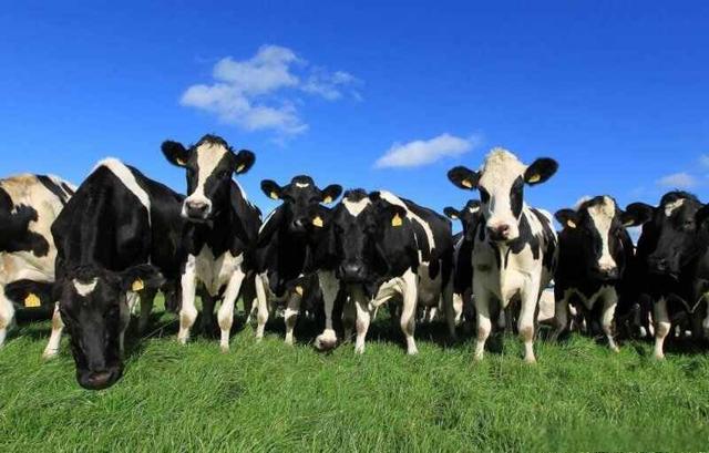 自编吉利车牌号码大全2022,4位车牌号码吉利数字排行-