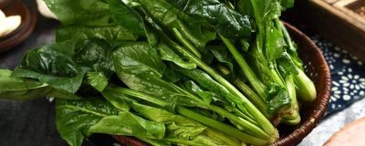 菠菜能否生吃 菠菜可不可以生吃