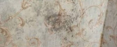 回南天墙面的水是从哪里来的 回南天墙上的水是怎么来的