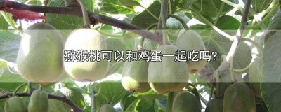 鸡蛋能和猕猴桃一起吃吗 猕猴桃和鸡蛋能一起吃么