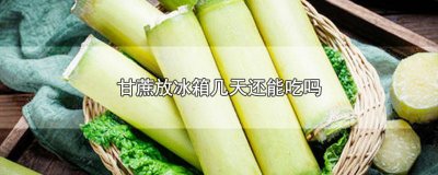 甘蔗放冰箱几天还能吃吗为什么会发苦 甘蔗冰箱里放了几天还能吃吗