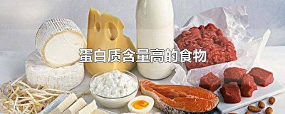 蛋白质含量高的食物减肥餐 蛋白质含量高的食物排名适合孕妇