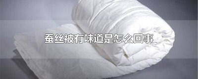 新的蚕丝被有味道是怎么回事 蚕丝被有味道是怎么回事啊