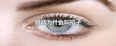 眼睛上痦子 眼子的图片