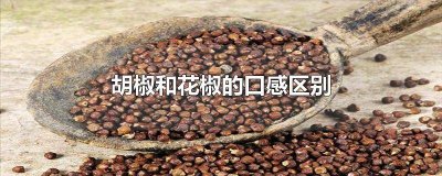胡椒和花椒的口感区别