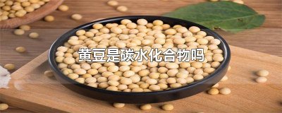 黄豆算不算碳水化合物 黄豆属于碳水化合物食物吗?