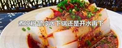 凉粉是冷水下锅还是热水下锅? 做凉粉是冷水下锅还是热水下锅