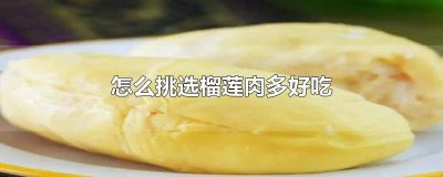 榴莲怎么挑选好吃榴莲怎么挑肉多 榴莲要挑什么形状的肉多