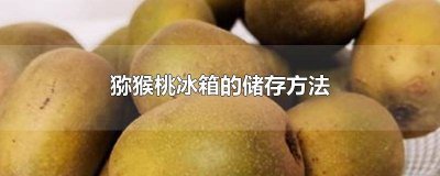 猕猴桃冰箱的储存方法 猕猴桃冰箱的储存方法视频