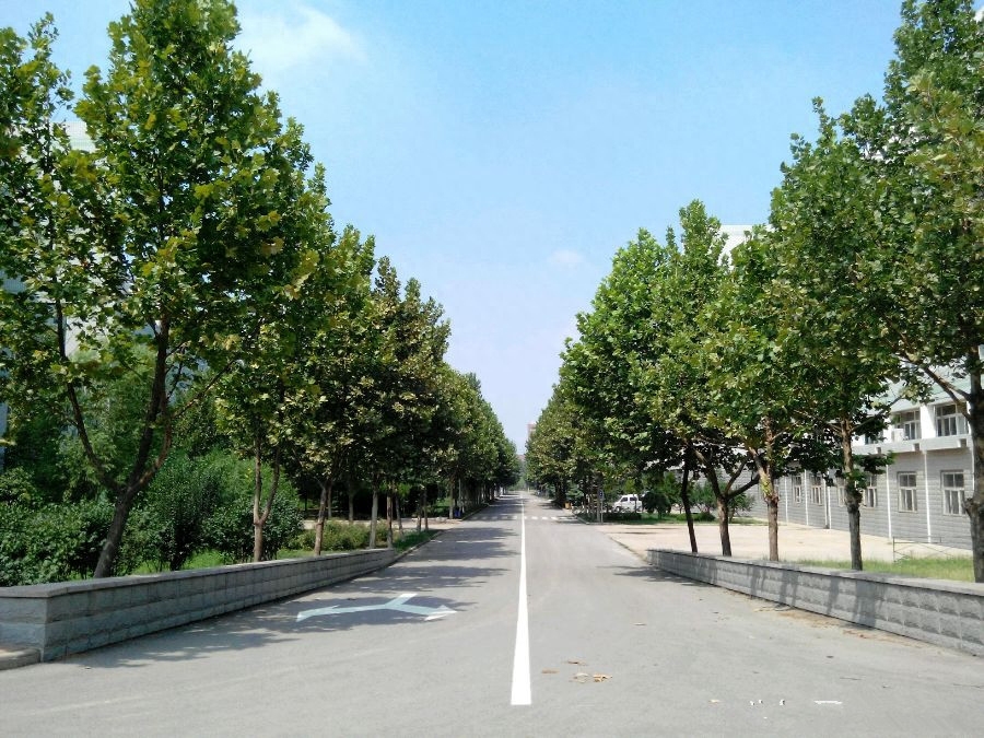 山东省唯一一所女子高等学校,山东女子学院