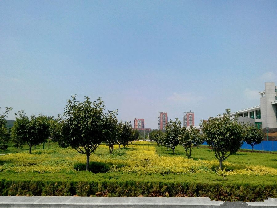 山东省唯一一所女子高等学校,山东女子学院