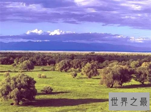 中国最美十大峡谷，天山大峡谷的风景美不胜收