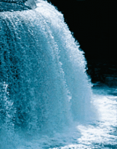 时光的絮语,有爱的翅膀