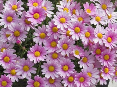 图片格式转换,png图片怎么转换成jpg?