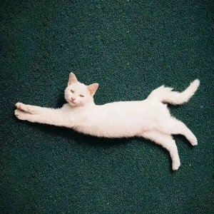 好听又有意义的微信名 好听的有意义的微信昵称