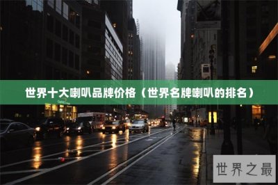 ​世界十大喇叭品牌价格（世界名牌喇叭的排名）