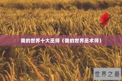 ​我的世界十大巫师（我的世界巫术师）