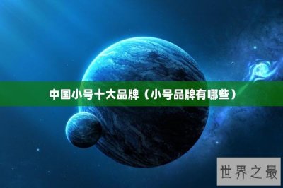​中国小号十大品牌（小号品牌有哪些）