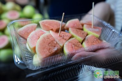 ​芭乐怎么吃法最好吃（番石榴维生素c含量是多少？怎么吃正确？）