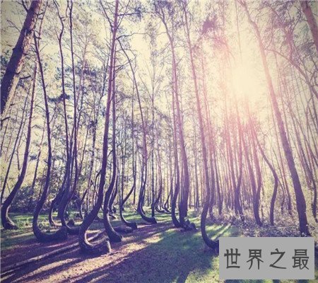 世界十大童话美景，梦幻的场景是你的最爱吗？